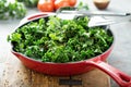 Sauteed kale with chili flakes Royalty Free Stock Photo