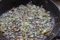 Sauteed onions in pan Close-up