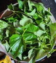 Sauteed sweet potato leaves