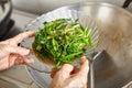 Sauteing Japanese spinach