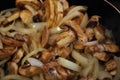 Sauteing mushrooms and onions in a frying pan with oil, seasoning, and steam