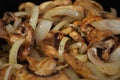 Sauteing mushrooms and onions in a frying pan with oil, seasoning, and steam