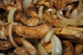 Sauteing mushrooms and onions in a frying pan with oil, seasoning, and steam