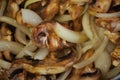 Sauteing mushrooms and onions in a frying pan with oil, seasoning, and steam