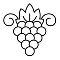 Sauvignon grape icon, outline style