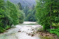 Sava Bohinjka flows from Lake Bohinj. Royalty Free Stock Photo