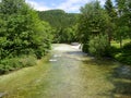 Sava Bohinjka river with clean water near lake Bohinj, Slovenia Royalty Free Stock Photo