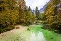 Sava Bohinjka river stream autumn forest view, Slovenia nature Royalty Free Stock Photo