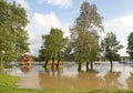 Sava River flood Royalty Free Stock Photo