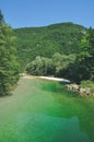 Sava River,Lake Bohinj,Slovenia Royalty Free Stock Photo