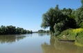Sava River is one of the very few unchanged lowland rivers in Europe, Lonjsko polje in Croatia Royalty Free Stock Photo