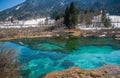 Sava spring, Zelenci, Slovenia Royalty Free Stock Photo