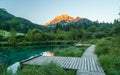 Sava spring, Zelenci, Slovenia Royalty Free Stock Photo