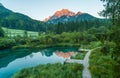 Sava spring, Zelenci, Slovenia Royalty Free Stock Photo