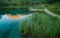 Sava spring, Zelenci, Slovenia Royalty Free Stock Photo