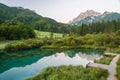 Sava spring, Zelenci, Slovenia Royalty Free Stock Photo