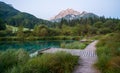 Sava spring, Zelenci, Slovenia Royalty Free Stock Photo