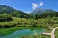 Sava spring, Zelenci, Slovenia Royalty Free Stock Photo