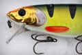 Huge muskie or pike fishing lure plug 22 cm Royalty Free Stock Photo