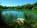 Savaged boardwalk and lake with trees reflecting in the water Royalty Free Stock Photo