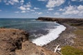 Savane de Petrification, Martinique Royalty Free Stock Photo