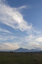 Savana Bekol on Baluran national park, Situbondo district, East Java Royalty Free Stock Photo