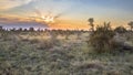 Savanna bushveld plain at sunset Royalty Free Stock Photo