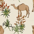 Savanna camel in desert pattern. Cartoon wild animal illustration, seamless design safari plants, cactus, african landscape print Royalty Free Stock Photo