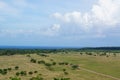 The savanna is dominated by verdant grass in the rainy season