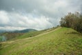 The savanna is dominated by verdant grass in the rainy season Royalty Free Stock Photo