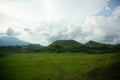 The savanna is dominated by verdant grass in the rainy season Royalty Free Stock Photo