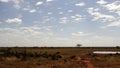 Savanna Field in summer season