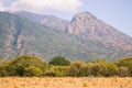 Savanna, Tree, and Mountain Royalty Free Stock Photo