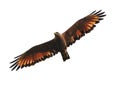 Savanna Hawk