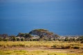 Savanna landscape in Africa, Amboseli, Kenya Royalty Free Stock Photo