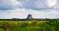 Savanna landscape in Bahia, Sertao, Brazil, South America