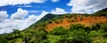 Savanna landscape in Bahia, Sertao, Brazil, South America