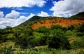 Savanna landscape in Bahia, Sertao, Brazil, South America