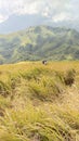 Savanna in mongkrang hillside