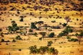 Savanna plain with dispersed trees in Kenya Royalty Free Stock Photo
