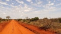 Savanna road in summer season