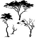 Savanna trees