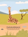 Savannah african nature reserve banner or poster flat vector illustration. Royalty Free Stock Photo