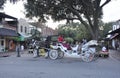 Savannah, August 7th:Sightseeing Carriage from Savannah in Georgia USA