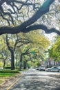 SAVANNAH, GA - APRIL 2, 2018: Trees in Oglethorpe Avenue. Savannah attracts 10 million tourists annually