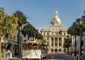 Savannah Tour and City Hall