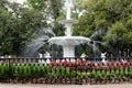 Savannah Georgia Forsutch park fountain in the spring Royalty Free Stock Photo