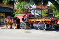 Carriage Tours of Savannah Royalty Free Stock Photo