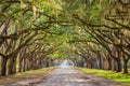 Savannah, Georgia, USA Historic Road Royalty Free Stock Photo