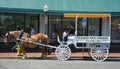 Orse and Carriage Tour of Historic Savannah Royalty Free Stock Photo